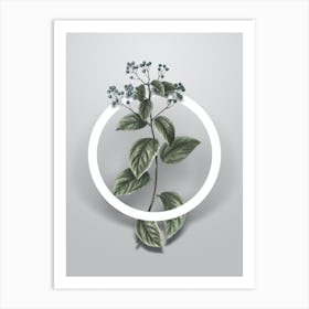 Vintage New Jersey Tea Minimalist Flower Geometric Circle on Soft Gray n.0464 Art Print