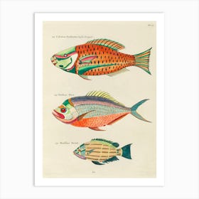 Colourful And Surreal Illustrations Of Fishes Found In Moluccas (Indonesia) And The East Indies, Louis Renard(2) Art Print