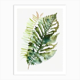 Chinese Brake Fern Watercolour Art Print