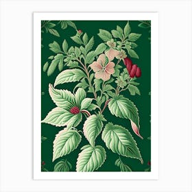 Peppermint 1 Floral Botanical Vintage Poster Flower Art Print