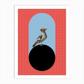 Bird Perched On A Ball Art Print