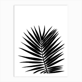 Tropical Palm Leaf Silhouette Black and White Art Print