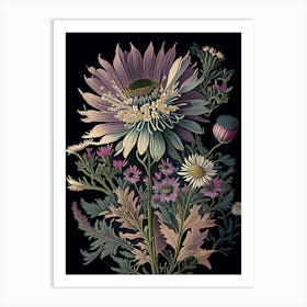 Asters Wildflower Vintage Botanical 2 Art Print
