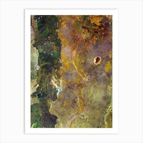 Nasa Satellite Image 4 Art Print