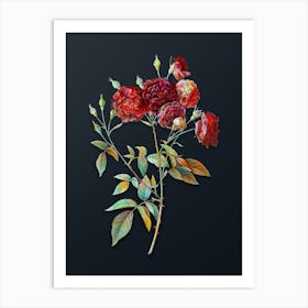 Vintage Ternaux Rose Bloom Botanical Watercolor Illustration on Dark Teal Blue Art Print