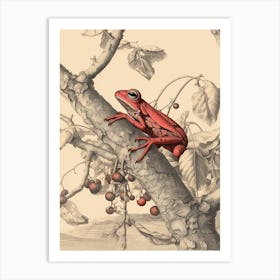Red Tree Frog Vintage Botanical 5 Art Print