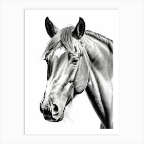 Highly Detailed Pencil Sketch Portrait of Horse with Soulful Eyes 10 Art Print