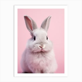 Cute Rabbit On Pink Background Art Print