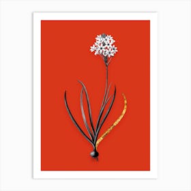 Vintage Arabian Starflower Black and White Gold Leaf Floral Art on Tomato Red n.0150 Art Print
