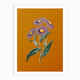 Vintage Shewy Stenactis Botanical on Sunset Orange n.0043 Art Print
