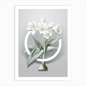 Vintage Crinum Giganteum Minimalist Botanical Geometric Circle on Soft Gray n.0055 Art Print