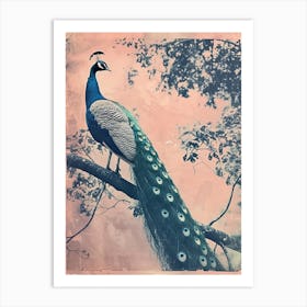 Peach & Blue Peacock In A Tree Cyanotype Inspired Art Print