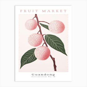 Lychee Fruit Poster Gift Guangdong Market Art Print