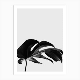 Black And White Monstera Leaf Art Print