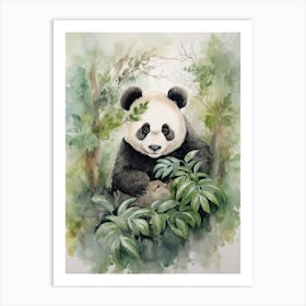 Panda Art Drawing Watercolour 2 Art Print