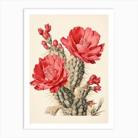 Vintage Cactus Illustration Austrocylindropuntia Subulata 3 Art Print