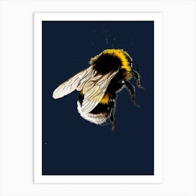 The Bee On Midnight Blue Art Print