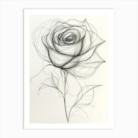 English Rose Black And White Line Drawing 2 Art Print