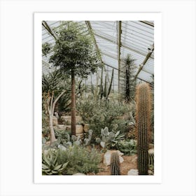 Cacti Greenhouse At Kew Gardens Art Print