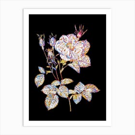 Stained Glass White Rose of York Mosaic Botanical Illustration on Black n.0262 Art Print