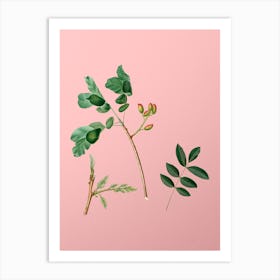 Vintage Pistachio Botanical on Soft Pink n.0960 Art Print