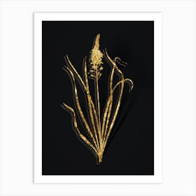 Vintage Wild Asparagus Botanical in Gold on Black n.0530 Art Print