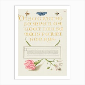 Insects, Carnation, And Judas Tree From Mira Calligraphiae Monumenta, Joris Hoefnagel Art Print