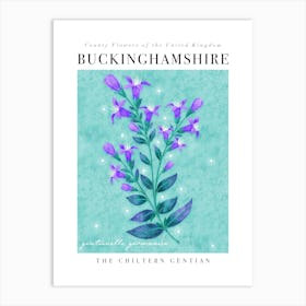 County Flower of Buckinghamshire Chiltern Gentian Art Print