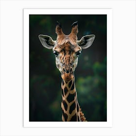 Giraffe 6 Art Print