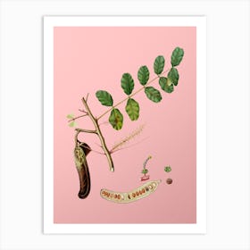 Vintage Carob Botanical on Soft Pink n.0247 Art Print