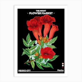 Flower Market Night Mexico City Vintage Botanical Art Print