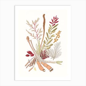 Licorice Root Spices And Herbs Pencil Illustration 1 Art Print