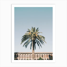 Granada Palm Tree Art Print