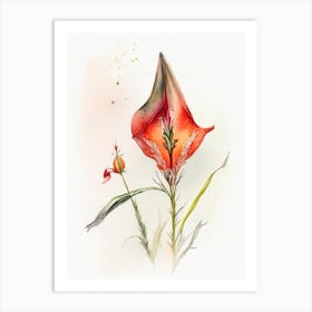 Arrowhead Wildflower Watercolour 2 Art Print