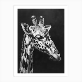 Giraffe Grey Pencil Drawing 2 Art Print