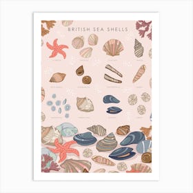 British Sea Shells Art Print