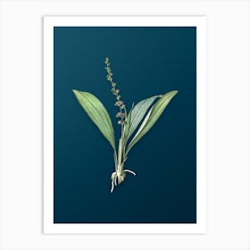 Vintage Peliosanthes Teta Botanical Art on Teal Blue n.0320 Art Print