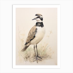 Vintage Bird Drawing Lapwing Art Print