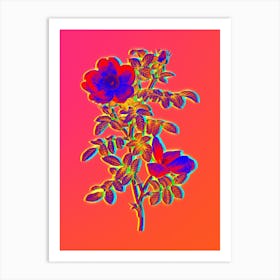 Neon Red Sweetbriar Rose Botanical in Hot Pink and Electric Blue n.0047 Art Print