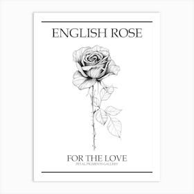 English Rose Black And White Line Drawing 17 Poster Art Print