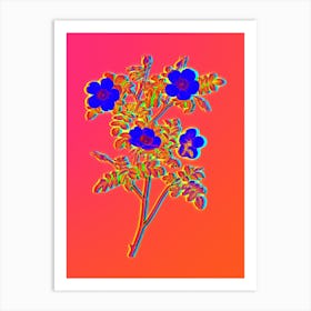Neon White Candolle's Rose Botanical in Hot Pink and Electric Blue n.0436 Art Print