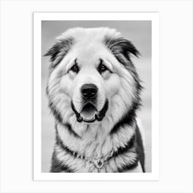 Tibetan Mastiff B&W Pencil Dog Art Print