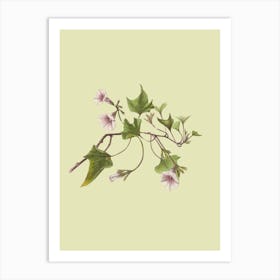 Hibiscus 5 Art Print