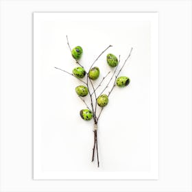 Green Eggs On A Branch Art Print