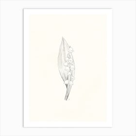 Lily Of The Valley Ink Drawing Art Print