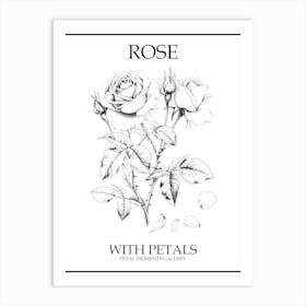 Rose With Petals Line Drawing 3 Poster Art Print