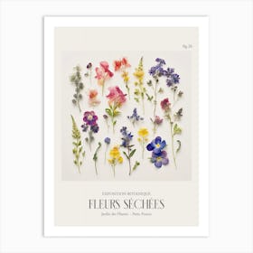 Fleurs Sechees, Dried Flowers Exhibition Poster 26 Art Print