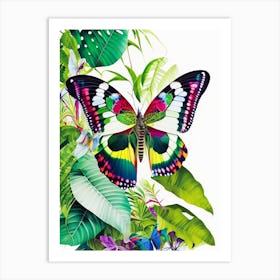 Butterfly In Rainforest Decoupage 1 Art Print