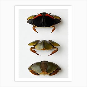 Velvet Crab Vintage Poster Art Print