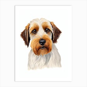 Wirehaired Pointing Griffon Illustration Dog Art Print
